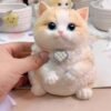 Chubby cat