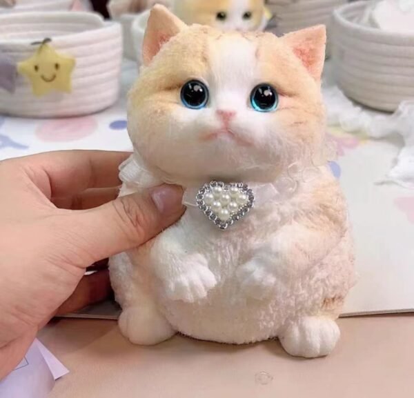 Chubby cat
